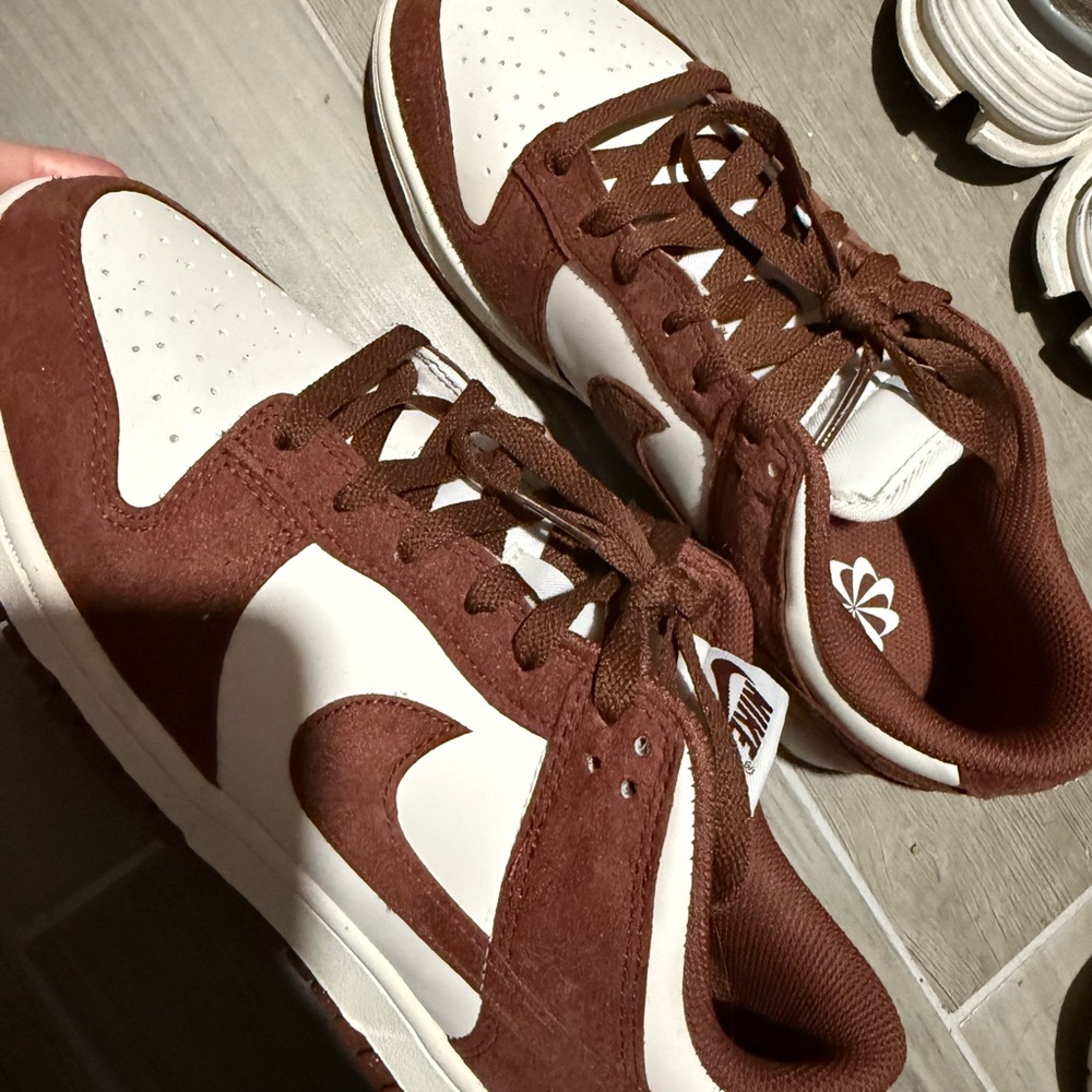 Nike Dunk Shoes